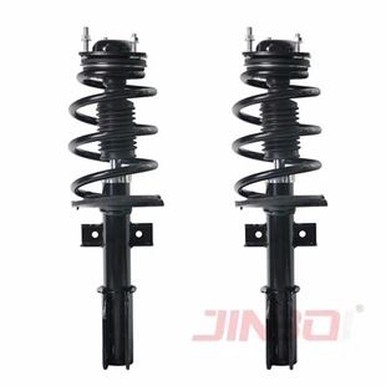 Buick Struts
