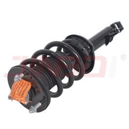 Bare Struts Vs Complete Struts